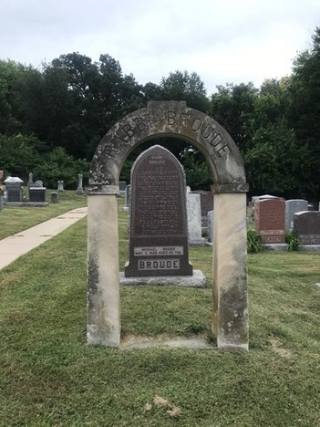 Plant, Sky, Cemetery, Tree