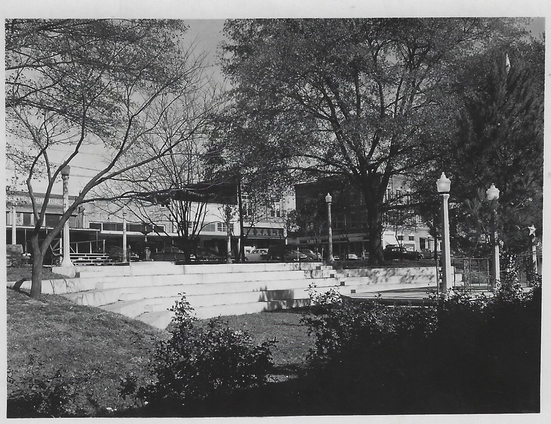 Plant, Tree, Building, Black-and-white