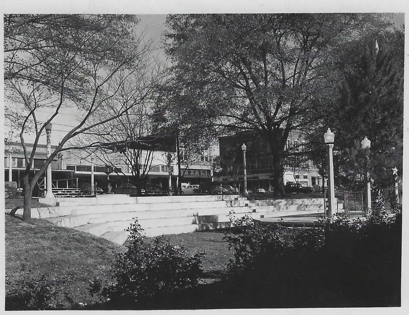 Plant, Tree, Building, Black-and-white