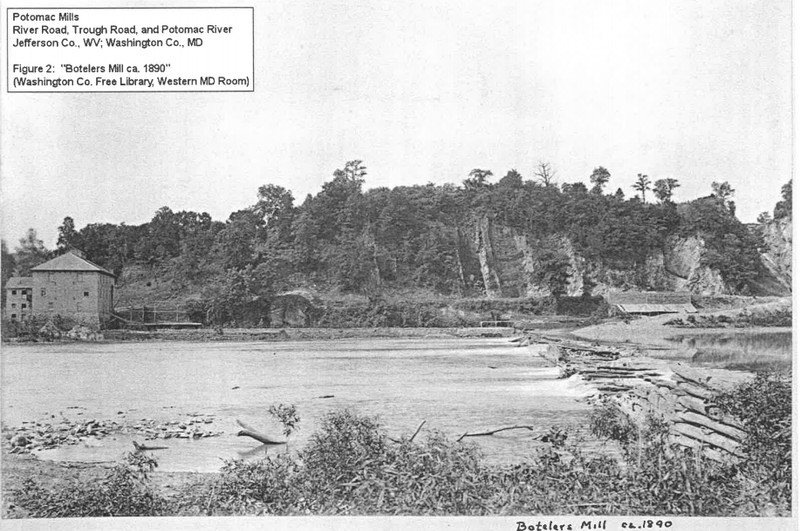 Vegetation, Adaptation, Wetland, Monochrome photography