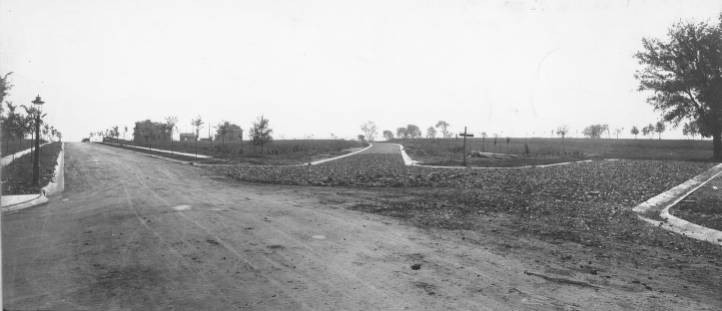 Sky, Asphalt, Land lot, Tree