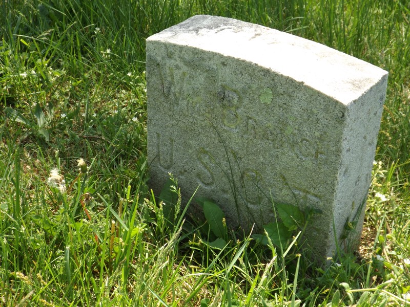 Plant, Rectangle, Grave, Grass