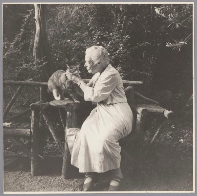 Older woman with white hair swept back into a bun, wearing a knee-length light colored dress, sitting on a rustic bench, petting a cat