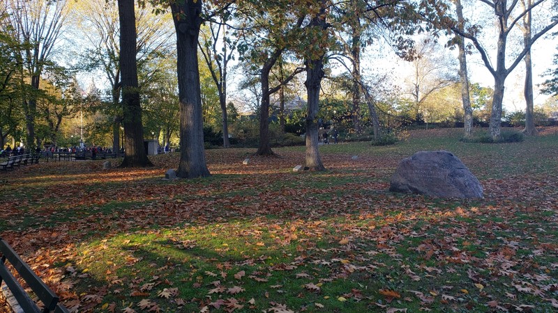 The 307th Infantry Regiment Memorial Grove as viewed from the south.