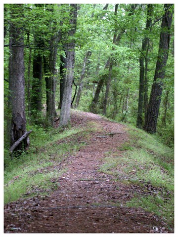 A scenic view from part of the 2.7 mile Roanoke Canal Trail.