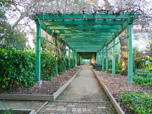 Wisteria Arbor (north end of veranda)