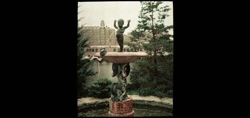 Pedestal, Plant, Statue, Sculpture