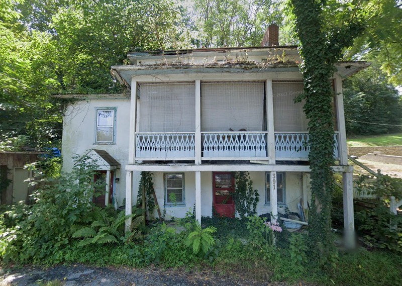 Plant, Property, Window, Building