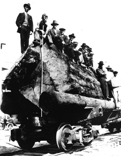 Men sitting on cypress log at Burton-Swartz Cypress Company – Perry, FL (1926)