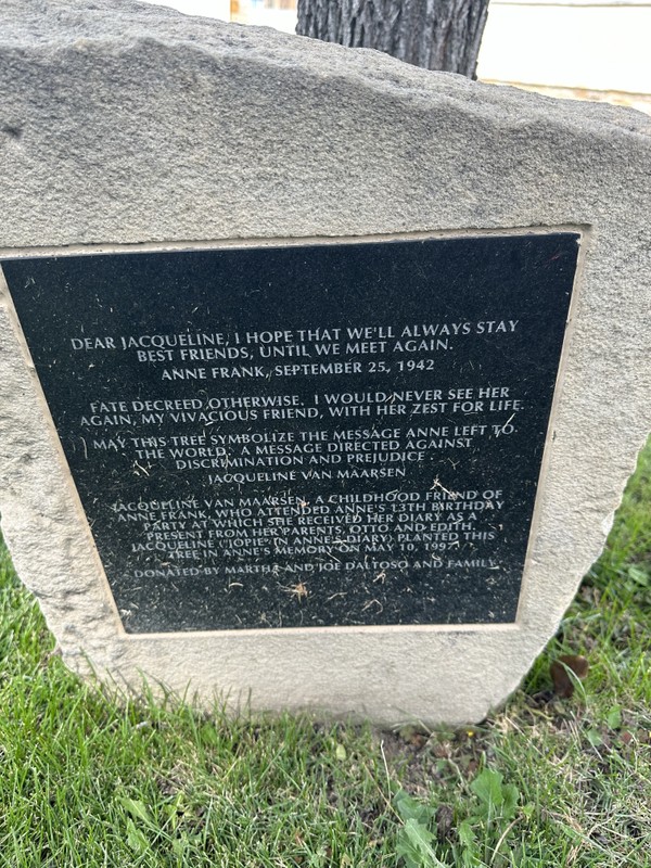 Cemetery, Headstone, Plant, Font