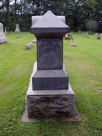 Plant, Tree, Cemetery, Headstone