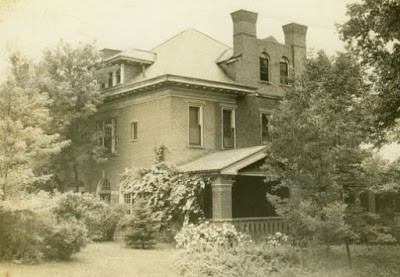 Plant, Building, Window, Tree