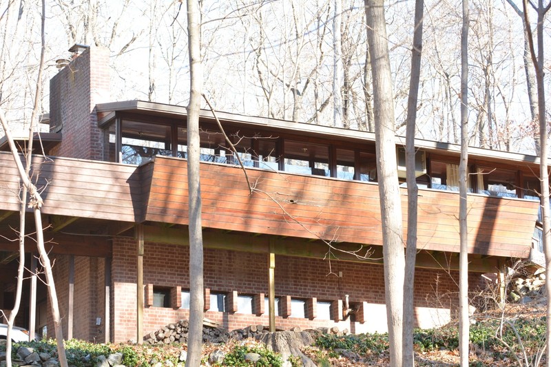 Plant, Building, Wood, Tree