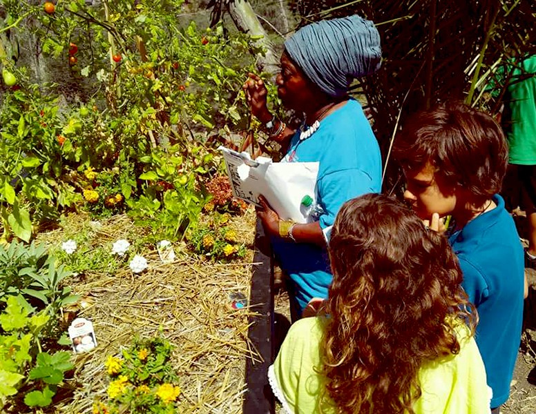 Shirt, Plant, People in nature, Green