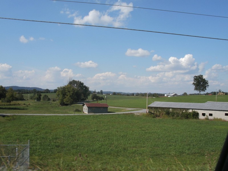 View of the valley looking toward Buffalo Mountain  (Photo by Steven Hart)