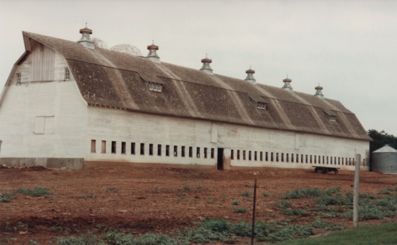 The Ackerhurst Dairy Barn before renovations. The Barn was originally white but was painted red later.