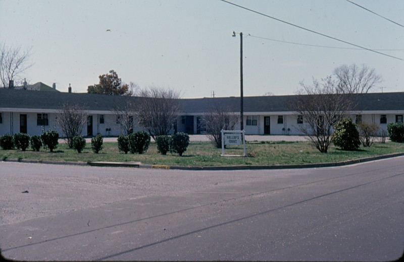Plant, Sky, Land lot, Building