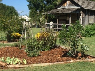 Nature, Plant, Property, Shrub