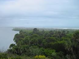 Point of lookout from near by mounds