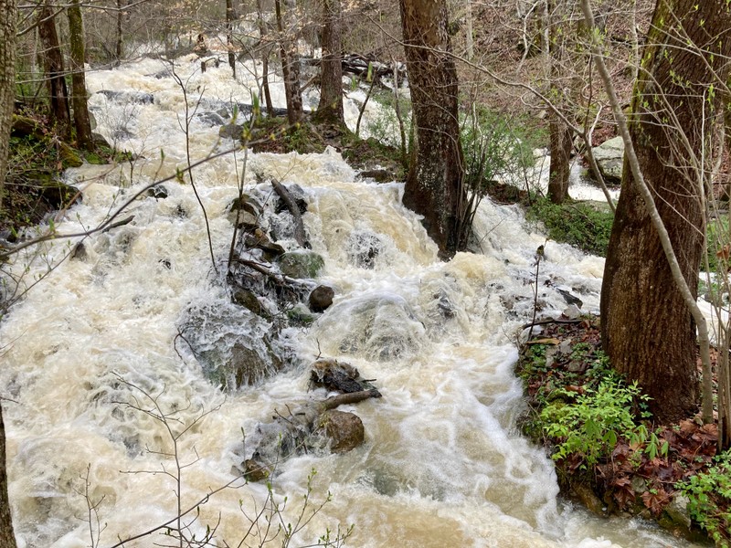Water, Plant, Water resources, Plant community