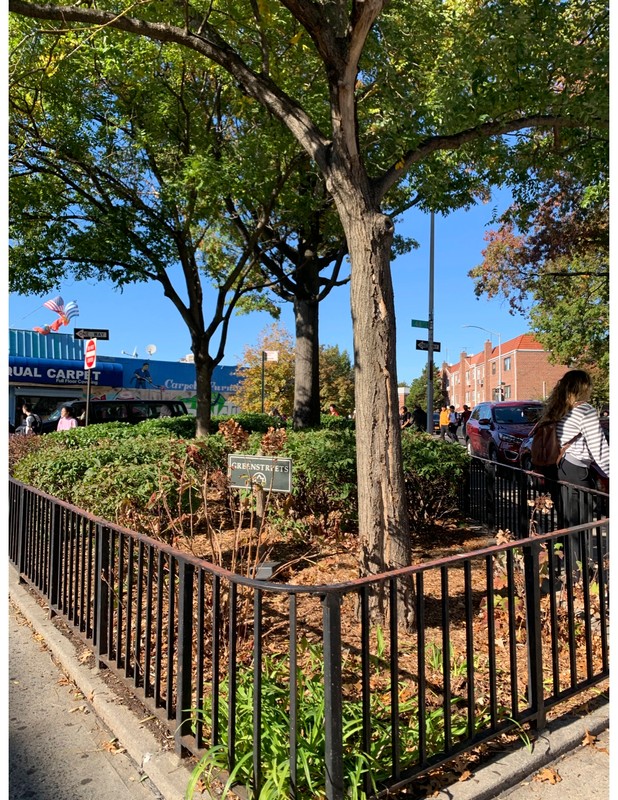 A close up of the park with the sign and a person next to the tree