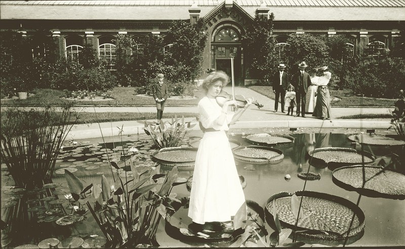 Plant, Photograph, Black-and-white, Dress