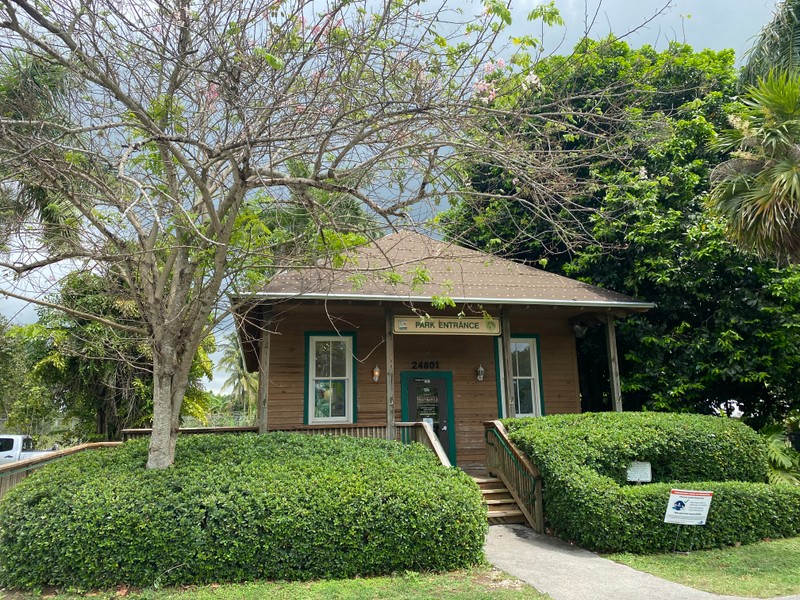 Plant, Building, Window, Tree