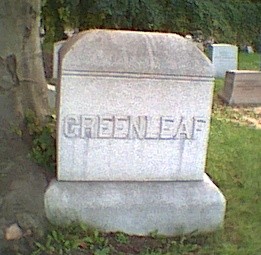 Plant, Cemetery, Grass, Font