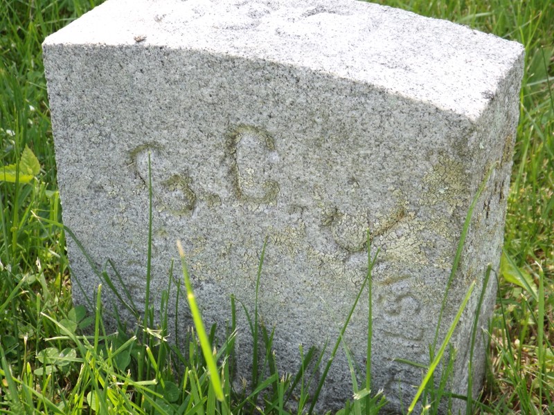 Cemetery, Headstone, Plant, Grave