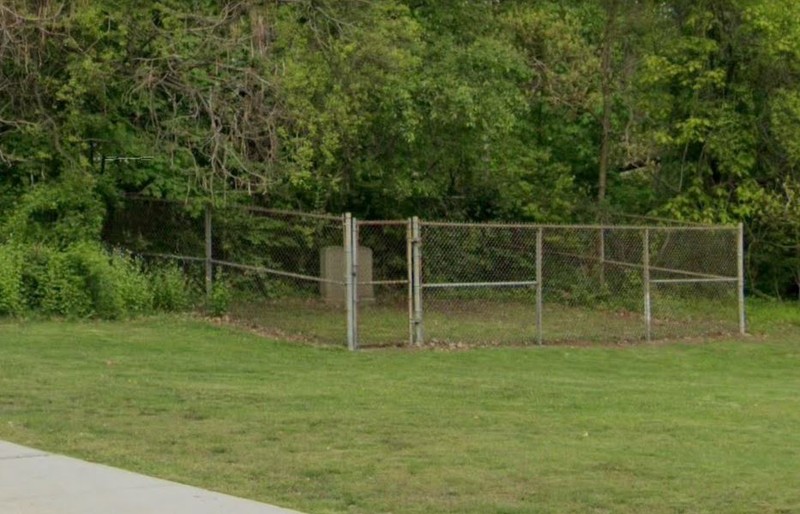 Fence, Land lot, Pasture, Grass