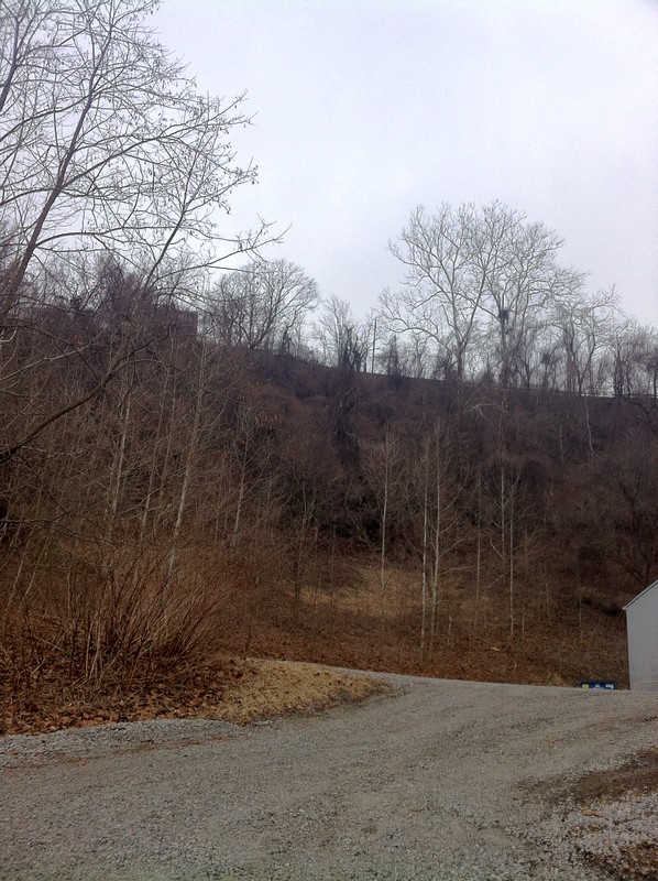 Looking from the bottom of Wheeling Hill up to the monument