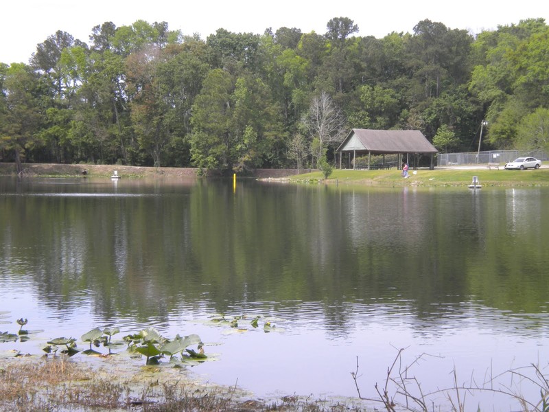 A lake at the park posted by a blogger