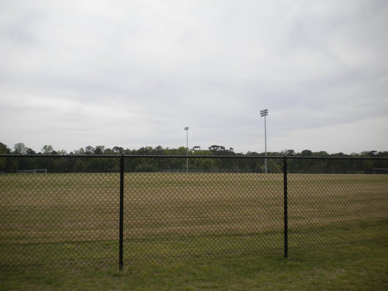 A field at the park posted by a blogger