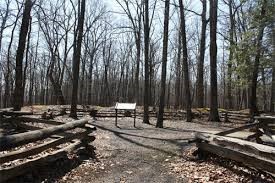 A walking trail in Fort Mill Ridge Wildlife Area takes visitors to this well-preserved Civil War trench system.