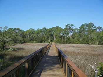 The land where the fort once stood is now part of the Fort Mose Historic State Park.