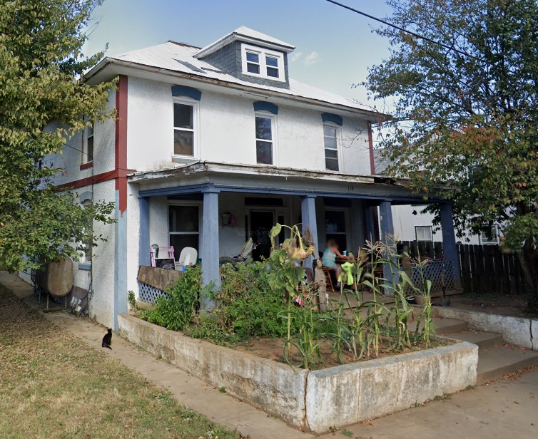 Plant, Building, Property, Window