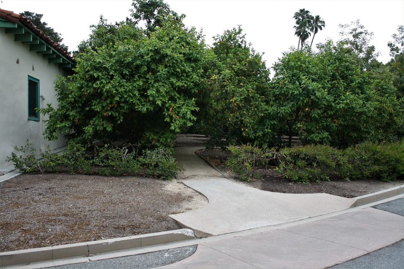 Orchard Pathway Entrance