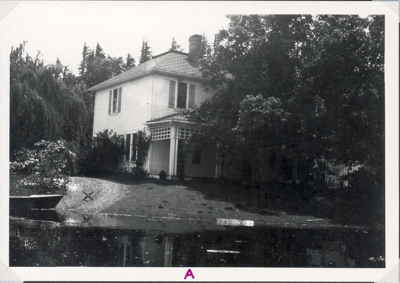 Window, Building, Plant, Tree