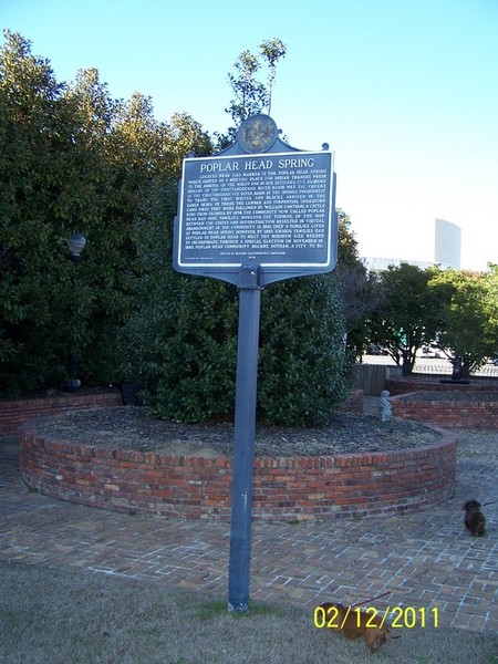 Tree, Signage, Memorial, Sign