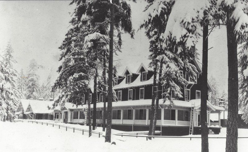 Building, Tree, Window, House