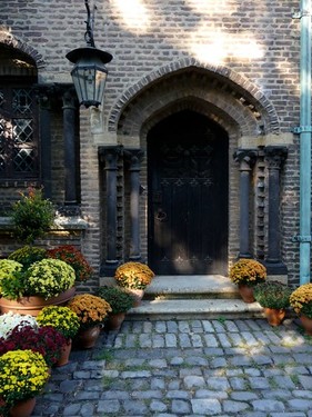 Plant, Building, Door, Botany