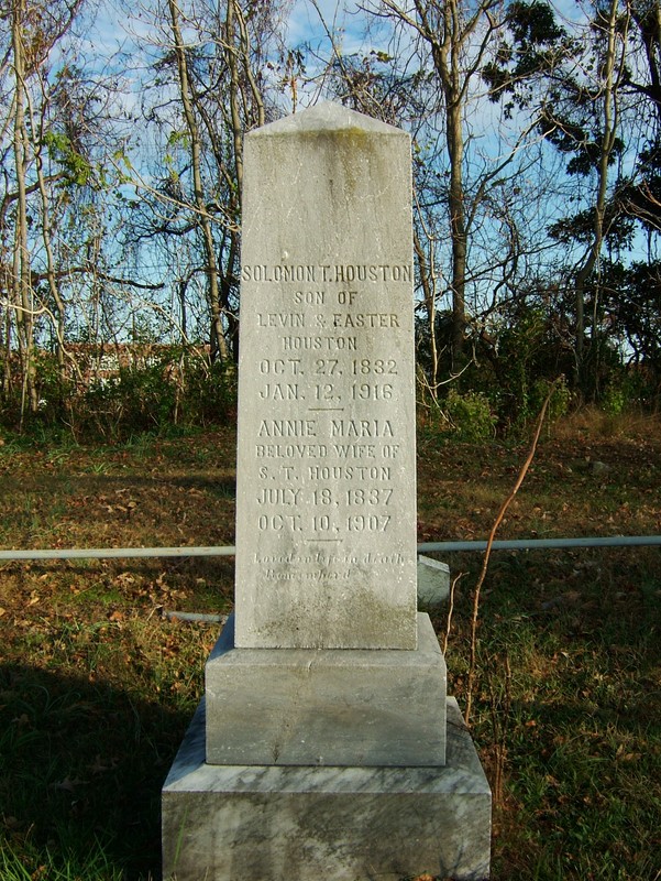 Plant, Sky, Headstone, Artifact