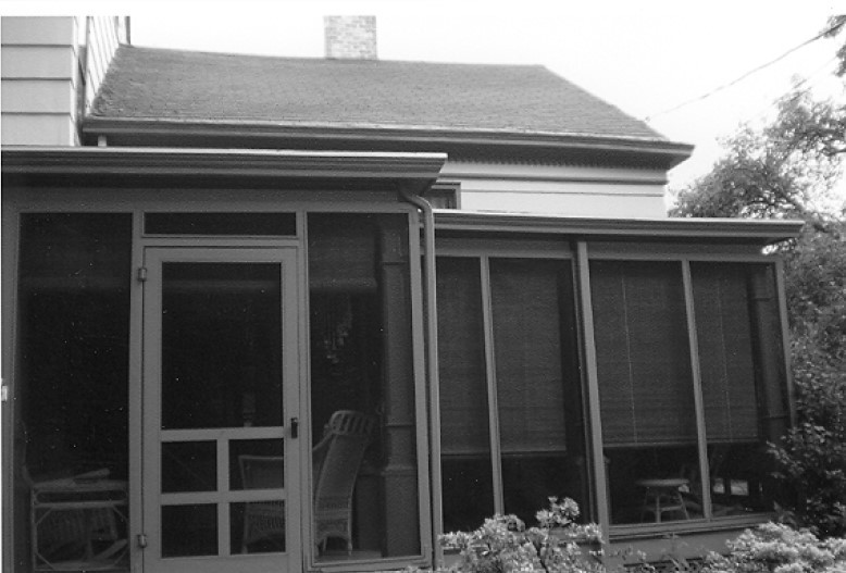 Plant, Building, Window, Black