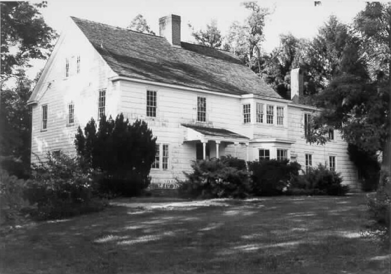 Plant, Building, Property, Window