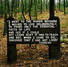 A quote from Thoreau's Walden, published in 1854. The book was received favorably in Thoreau's lifetime and has since become a classic piece of environmental literature.