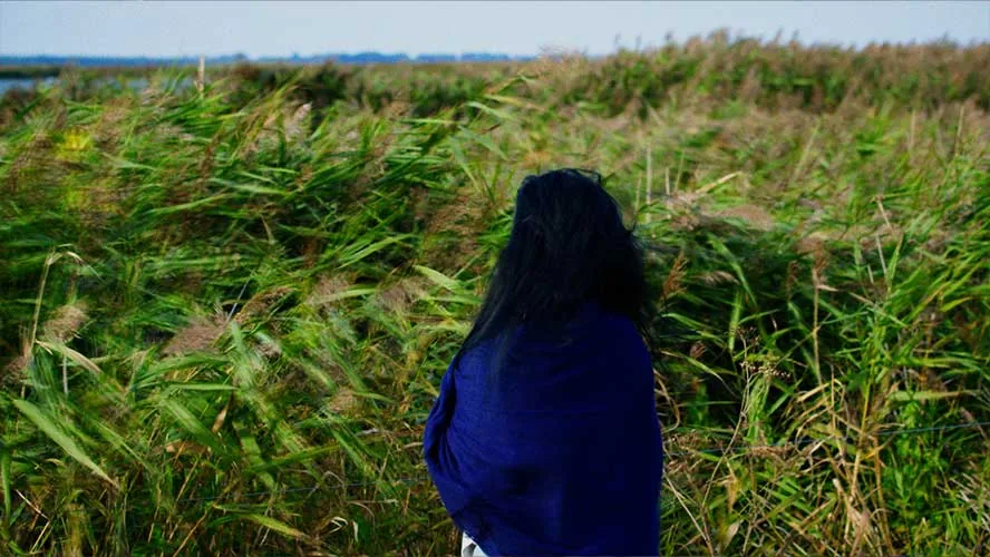 Kunst trifft Klima: Video-Portraits, Identity & Web