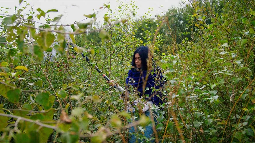 Kunst trifft Klima: Video-Portraits, Identity & Web