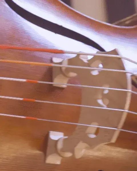 Unboxing Mozart FFM - Mahler Chamber Orchestra