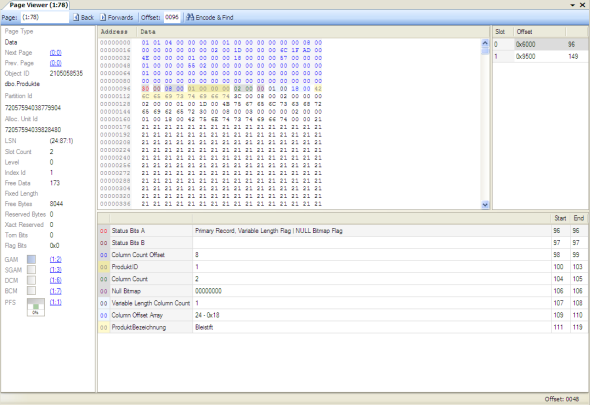 Internals Viewer Page Ansicht