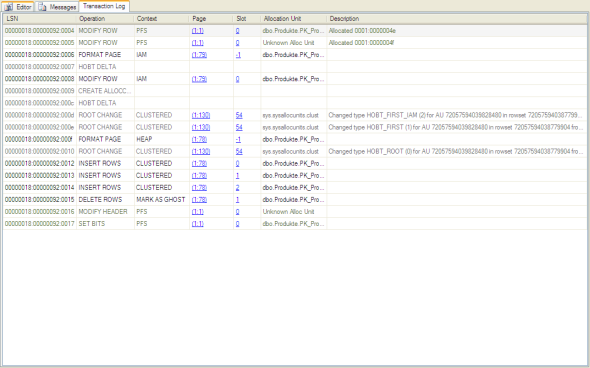 Internals Viewer Transaction Log Ansicht